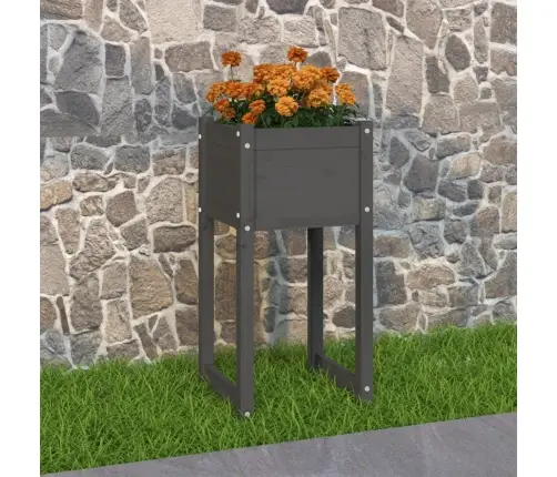 Taimekast, Hall, 40X40X81 cm Toekas Männipuit