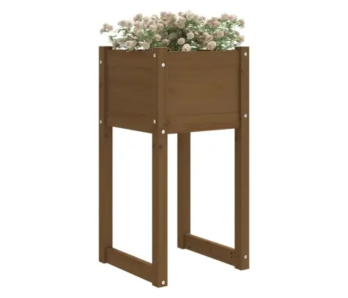 Taimekast, Meepruun, 40X40X81 cm Toekas Männipuit