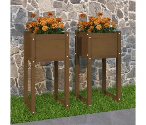 Taimekastid, 2 Tk, Meepruun, 40X40X81 cm Toekas Männipuit