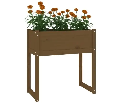 Puķu Kaste, Medus Brūna, 78X40X81 Cm, Priedes Masīvkoks Vidaxl