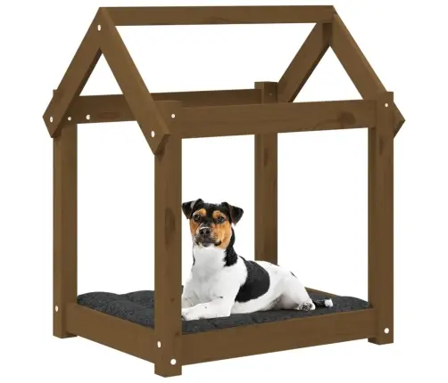 Suņu Gulta, Medus Brūna, 61X50X70 Cm, Priedes Masīvkoks Vidaxl