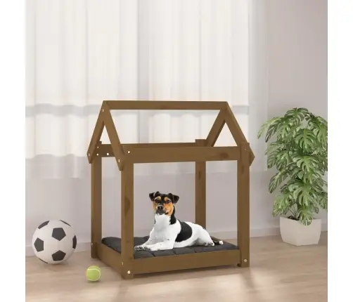 Suņu Gulta, Medus Brūna, 61X50X70 Cm, Priedes Masīvkoks Vidaxl