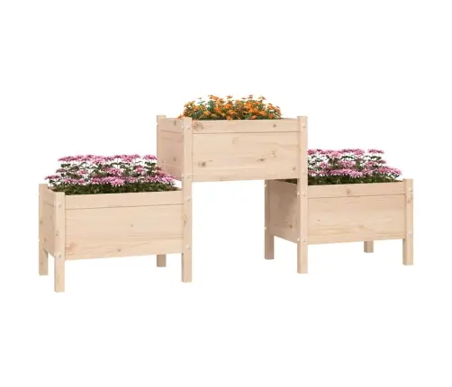 Puķu Kaste, 178,5X44X75 Cm, Priedes Masīvkoks Vidaxl