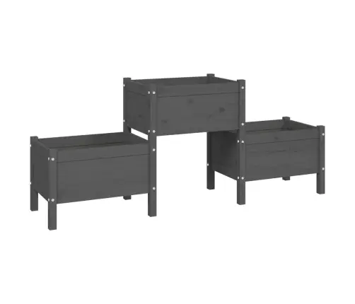 Puķu Kaste, Pelēka, 178,5X44X75 Cm, Priedes Masīvkoks Vidaxl