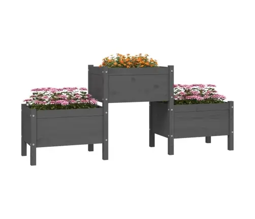 Puķu Kaste, Pelēka, 178,5X44X75 Cm, Priedes Masīvkoks Vidaxl