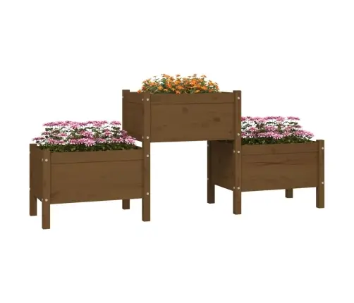 Taimekast, Meepruun, 178,5X44X75 cm Toekas Männipuit