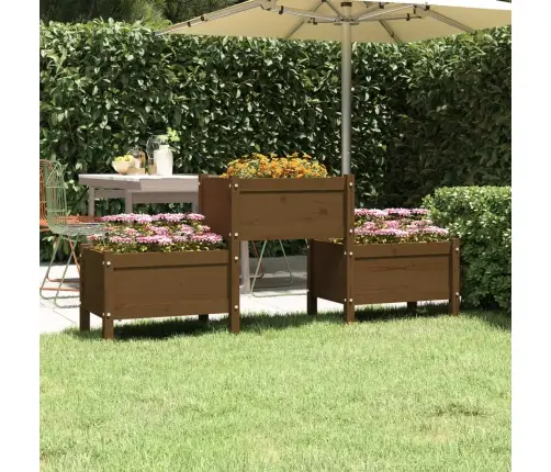 Taimekast, Meepruun, 178,5X44X75 cm Toekas Männipuit