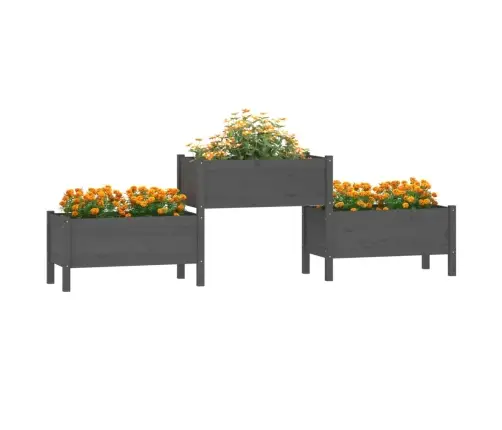 Puķu Kaste, Pelēka, 245,5X44X75 Cm, Priedes Masīvkoks Vidaxl