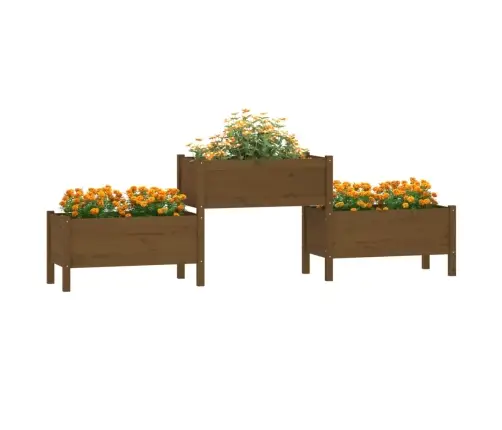 Taimekast, Meepruun, 245,5X44X75 cm Toekas Männipuit