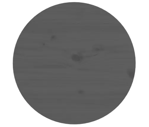 Kafijas Galdiņš, Pelēks, Ø 55X60 Cm, Priedes Masīvkoks Vidaxl Kafijas Galdiņš, Pelēks, Ø 55X60 Cm, Priedes Masīvkoks Vidaxl