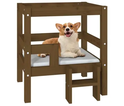 Lova Šunims, Medaus Ruda, 55,5X53,5X60cm Pušies Masyvas