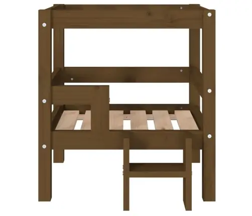 Lova Šunims, Medaus Ruda, 55,5X53,5X60cm Pušies Masyvas