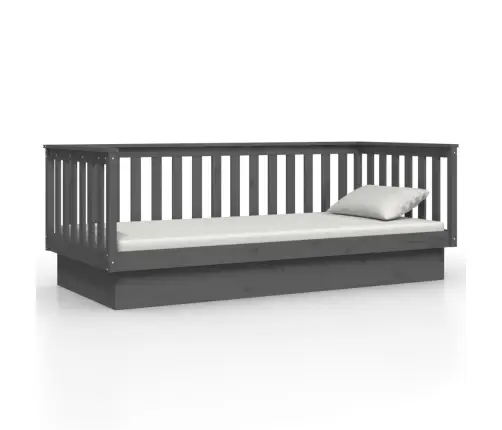 Päevavoodi, Hall, 80 X 200 cm Männipuit