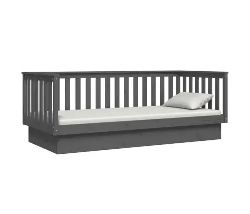 Päevavoodi, Hall, 80 X 200 cm Männipuit