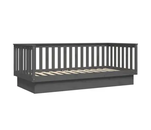 Päevavoodi, Hall, 80 X 200 cm Männipuit