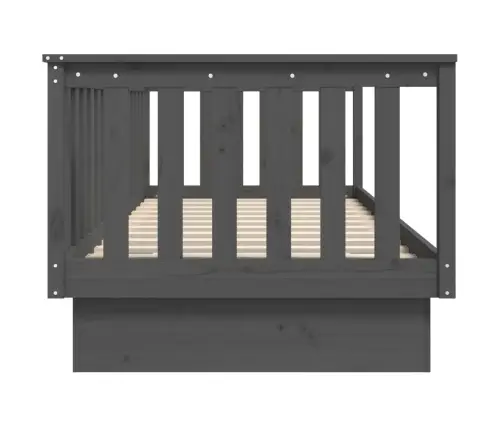 Päevavoodi, Hall, 80 X 200 cm Männipuit