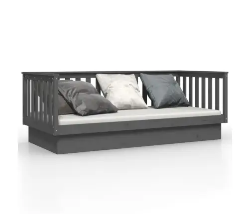 Päevavoodi, Hall, 100 X 200 cm Männipuit