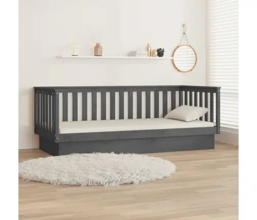 Päevavoodi, Hall, 100 X 200 cm Männipuit