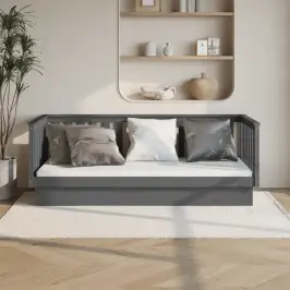 Päevavoodi, Hall, 100 X 200 cm Männipuit