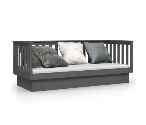 Päevavoodi, Hall, 75X190 cm Männipuit