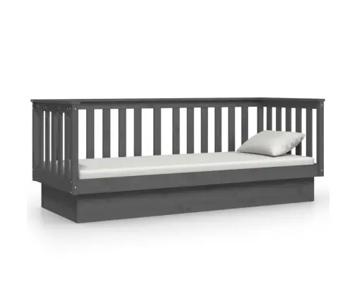 Päevavoodi, Hall, 75X190 cm Männipuit