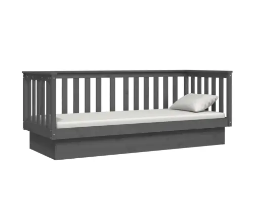 Päevavoodi, Hall, 75X190 cm Männipuit