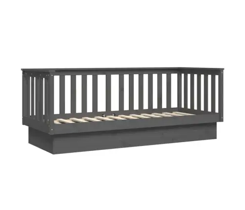 Päevavoodi, Hall, 75X190 cm Männipuit