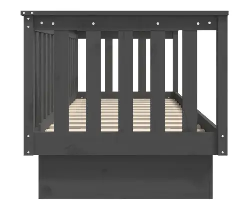 Päevavoodi, Hall, 75X190 cm Männipuit