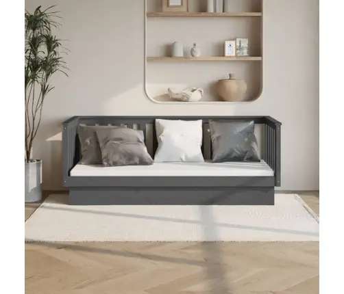 Päevavoodi, Hall, 75X190 cm Männipuit