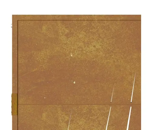 Dārza Vārti, 105X205 Cm, Tērauds Ar Rūsas Efektu, Zāles Dizains Vidaxl