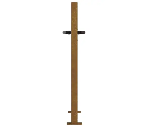 Sodo Vartai, 100X75 cm Corten Plienas, Medžio Raštas