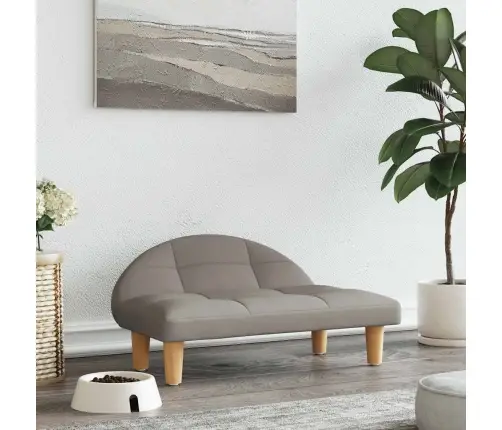 Koeravoodi, Pruunikashall, 70X52X30 cm Kangas