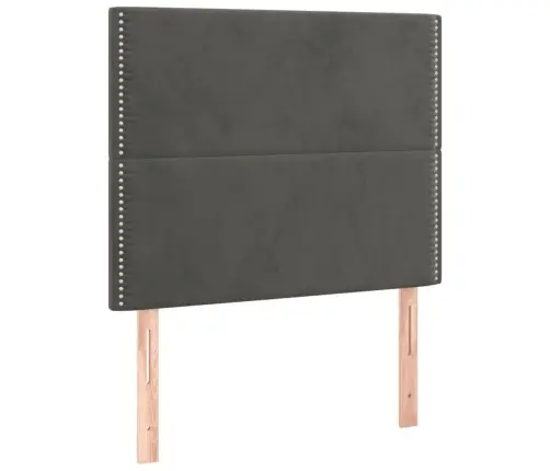 Lova Su Spyruoklėmis Ir Čiužiniu, Pilka, 100X200 cm Aksomas