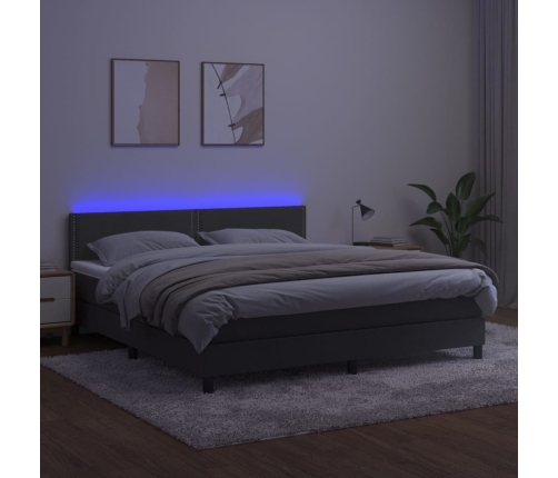 Atsperu Gulta Ar Matraci, Led, Tumši Pelēks Samts, 180X200 Cm Vidaxl