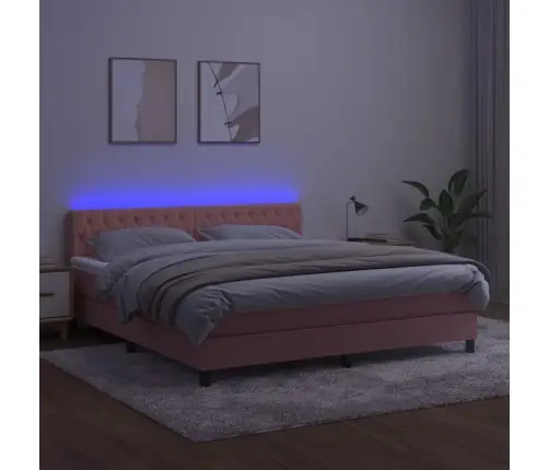 Lova Su Spyruokliniu/Čiužiniu/Led, Rožinė, 160X200cm Aksomas