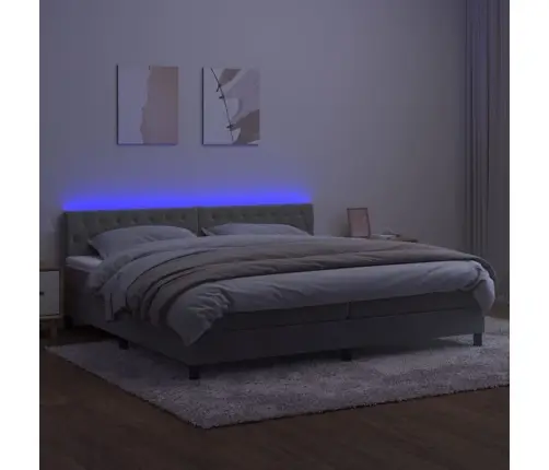 Lova Su Spyruokliniu/Čiužiniu/Led, Šviesiai Pilka, 200X200 cm Aksomas