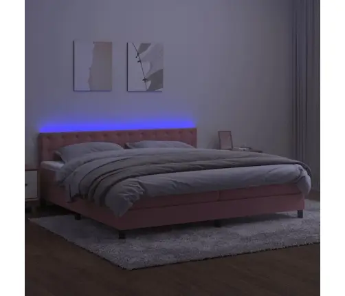 Lova Su Spyruokliniu/Čiužiniu/Led, Rožinė, 200X200 cm Aksomas