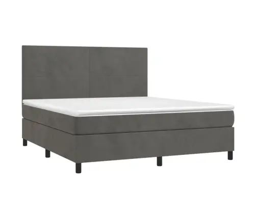 Lova Su Spyruoklėmis/Čiužiniu/Led, Pilka, 160X200cm Aksomas