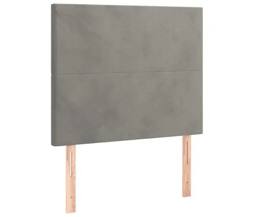 Lova Su Spyruoklėmis Ir Čiužiniu, Pilka, 100X200 cm Aksomas