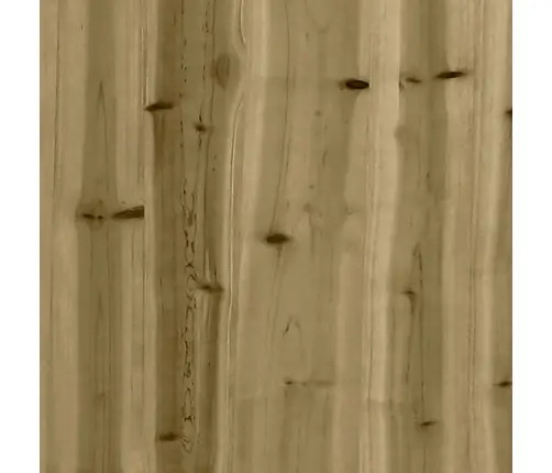 Sodo Lovelis, 100X50X50cm Impregnuota Pušis, Tvorelės Dizaino