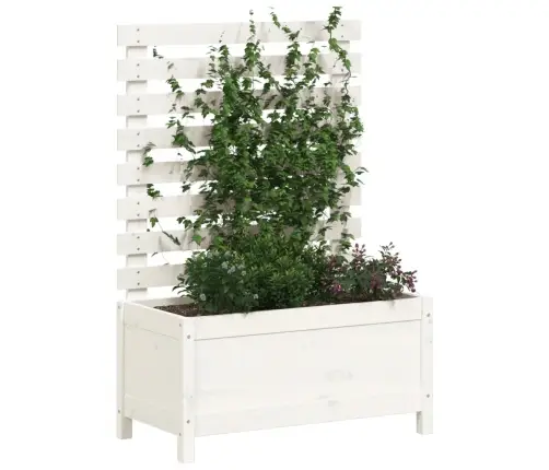 Dārza Puķu Kaste, Balta, 79X39,5X114 Cm, Priedes Masīvkoks Vidaxl