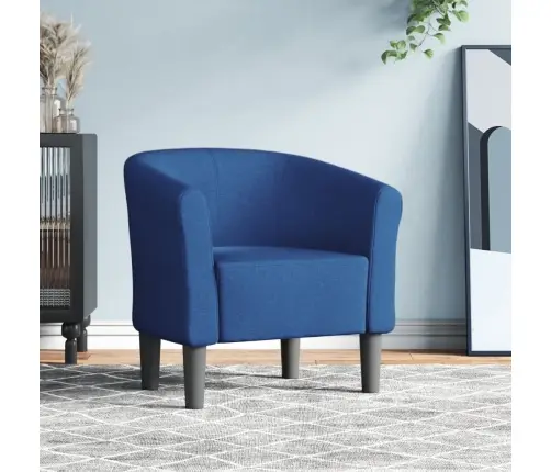 Krėslas, Mėlynos Spalvos, Audinys