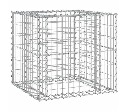 Sodo Suoliukas Su Gabiono Krepšiu, Douglas Eglės Masyvas