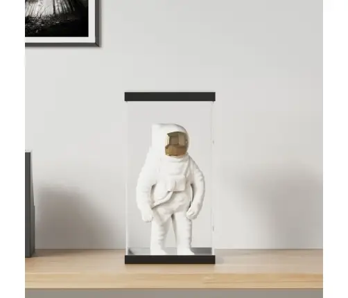 Vitriinkast, Läbipaistev, 20X20X38 cm Akrüül