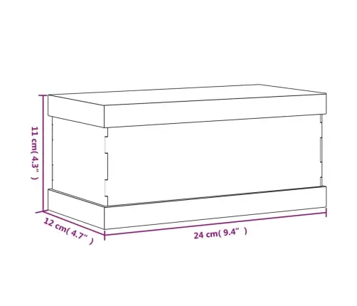 Eksponavimo Dėžė, Skaidri, 24X12X11 cm Akrilas