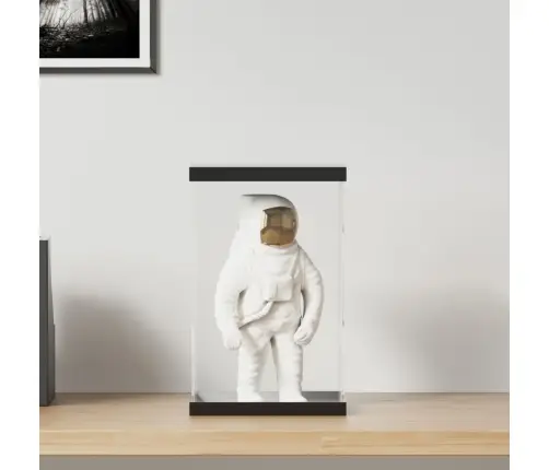 Vitrīnas Kaste, Caurspīdīga, 22X18X35 Cm, Akrils Vidaxl