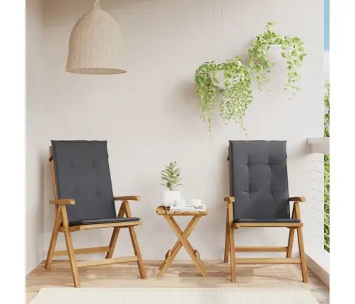 Allalastava Seljatoega Aiatoolid Patjadega, 2 Tk, Tiikpuu