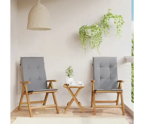 Atgāžami Dārza Krēsli Ar Spilveniem, 2 Gab., Masīvs Tīkkoks Vidaxl