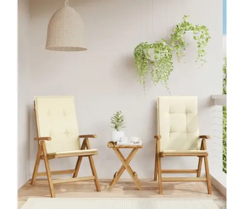 Allalastava Seljatoega Aiatoolid Patjadega, 2 Tk, Tiikpuu