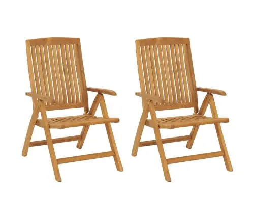 Allalastava Seljatoega Aiatoolid Patjadega, 2 Tk, Tiikpuu